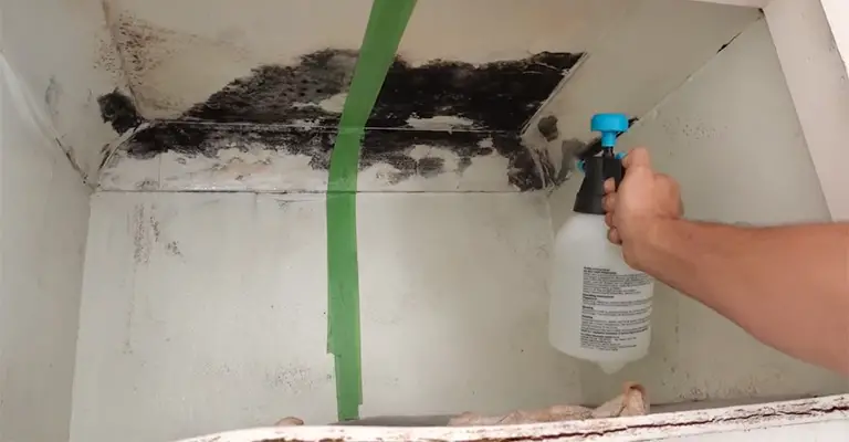 How To Get Rid Of Mold You Can't Reach