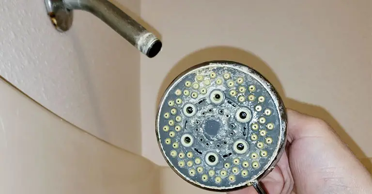 Make Sure The Shower Head's Face Is Clean