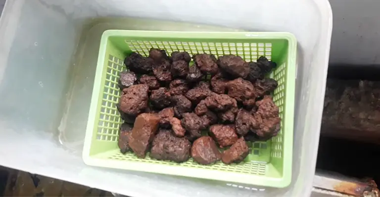 Soak And Scrub The Lava Rocks Clean