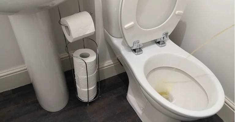 Why Urine Splash Back Is A Bigger Problem