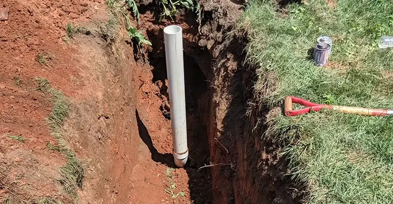 How Fast Do Tree Roots Grow In Sewer Pipes?