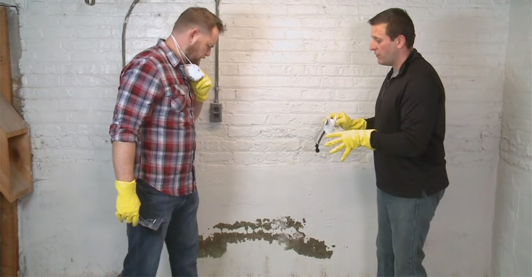 How To Get Rid Of Mold In Garage