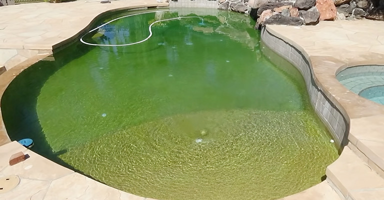 How To Clear Algae In Pool
