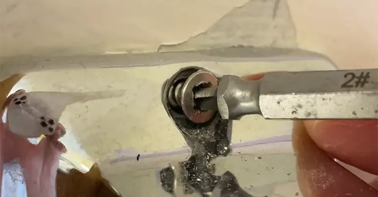 Removing a Torx Screw