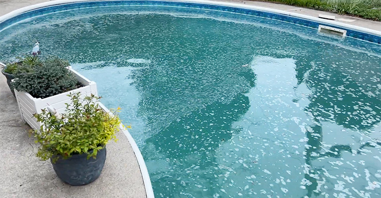 Why Is Pool Water Foamy After Algaecide