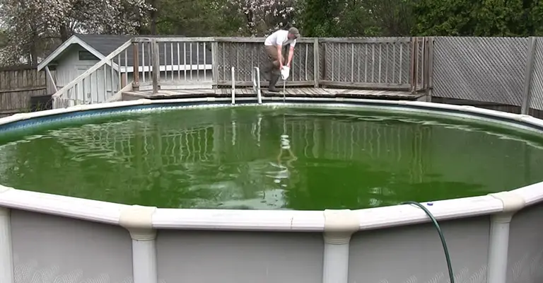 Can You Use Algaecide to Get Rid of Pool Algae