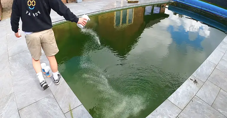 How To Get Rid Of Algae In A Pool