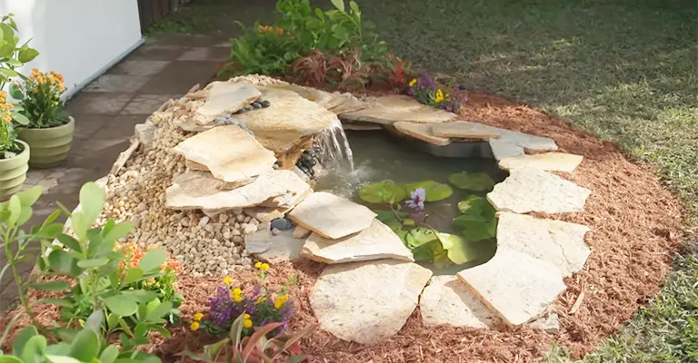 Put A Pond In Your Backyard
