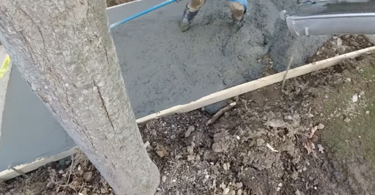 Can You Pour Concrete Over Tree Roots