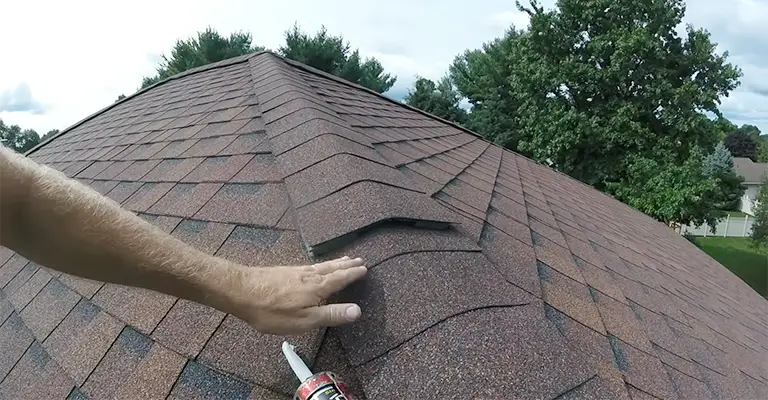 How Do Squirrels Get Into an Attic