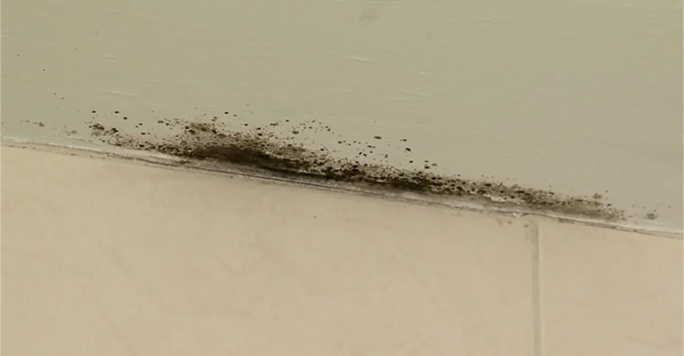 You Get Rid of Mold on the Bathroom Ceiling