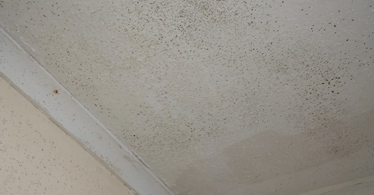 How To Get Rid Of Black Spots On Ceiling Above Shower