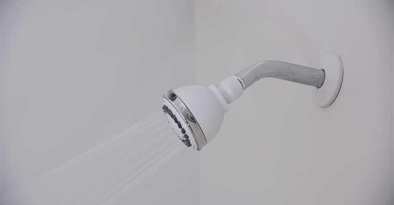 Inspect Your Showerhead
