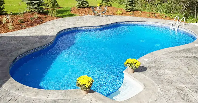How to Get Rid of Dead Gnats in the Pool