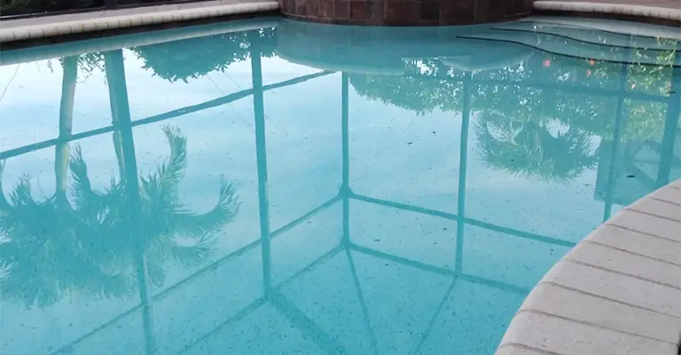 How to Get Rid of Gnats Around Pool
