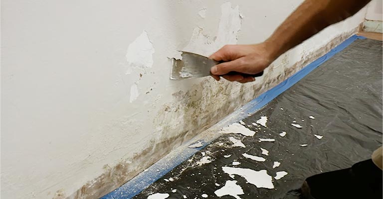 Damp Spots On Your Walls Or Floors